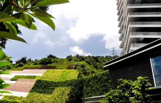 行業分析：2019年國內市場當前三類苗木需求量比較大